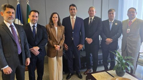 CONAMP participa de audiência com Senadora Dorinha sobre a PEC 76/2019